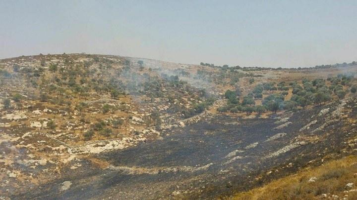 اعتقال مواطن كان يساعد الدفاع المدني بالسيطرة على حريق بفعل قنابل الغاز في نابلس