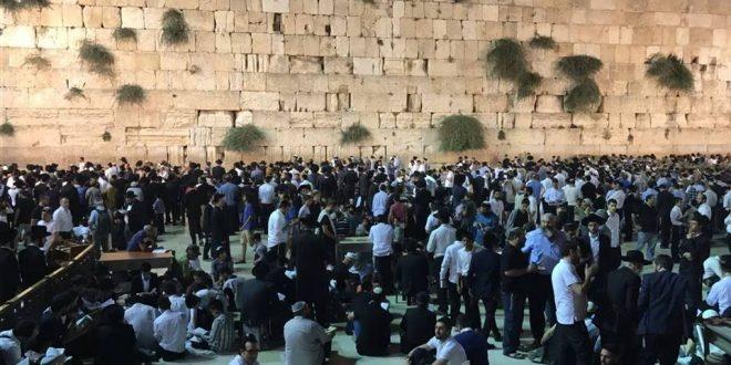 آلاف المستوطنين يحتشدون في ساحة البراق عشية ما يسمى “ذكرى خراب الهيكل”