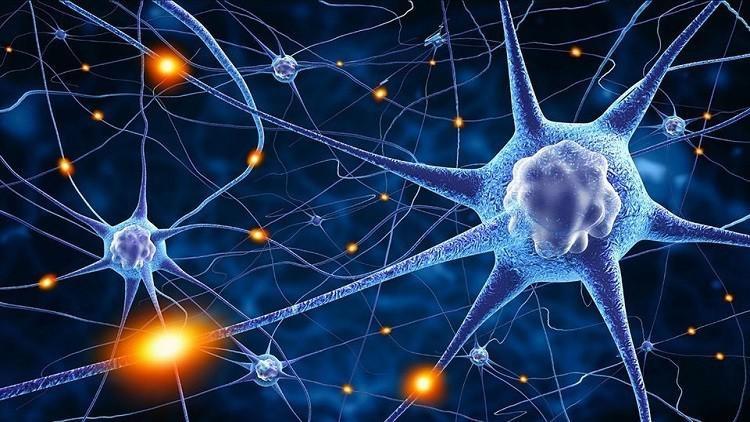 إطالة العمر في المستقبل قد تصبح ممكنة!