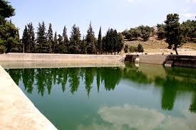 ثعبان الماء في برك سليمان