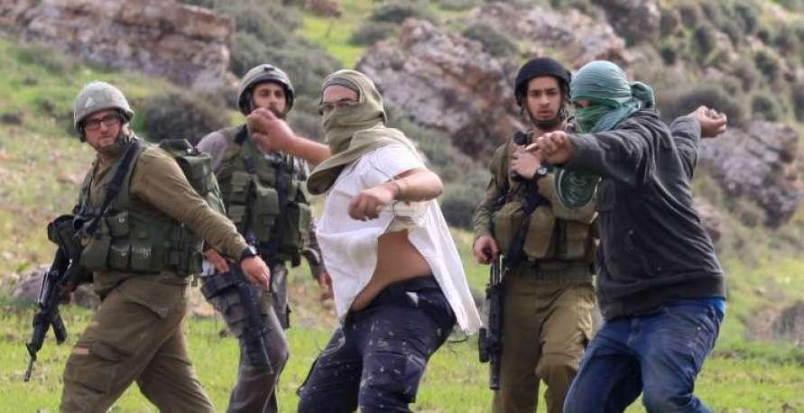 مستوطنون يهاجمون مركبات المواطنين جنوب غرب جنين ويحطمون زجاج إحداها