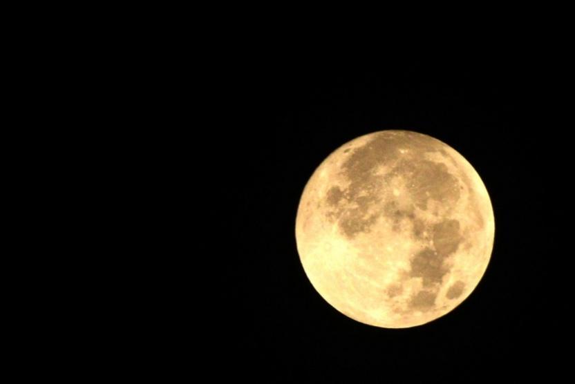 المفتي: غدا الأربعاء غرة شهر ذي الحجة وعيد الأضحى الجمعة 1 أيلول