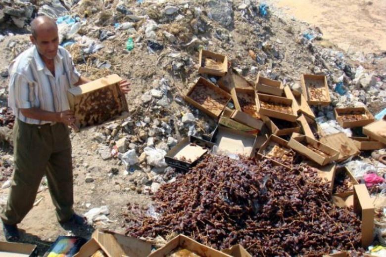 ضبط تمور فاسدة في جنين وطولكرم