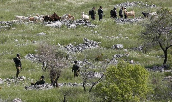 الإحتلال يستولي على أراضٍ في الخضر