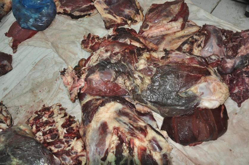 ضبط نحو 2 طن لحوم عجل فاسدة في الخليل