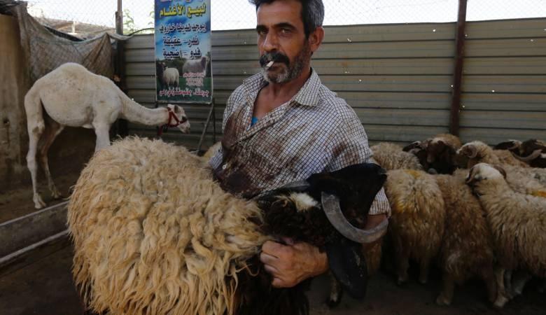 غزة- 75 إصابة خلال ذبح الأضاحي