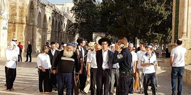 (محدّث) بالصور والفيديو- 366 متطرف يقتحمون باحات الأقصى وآلاف المستوطنين يقتحمون حائط البراق