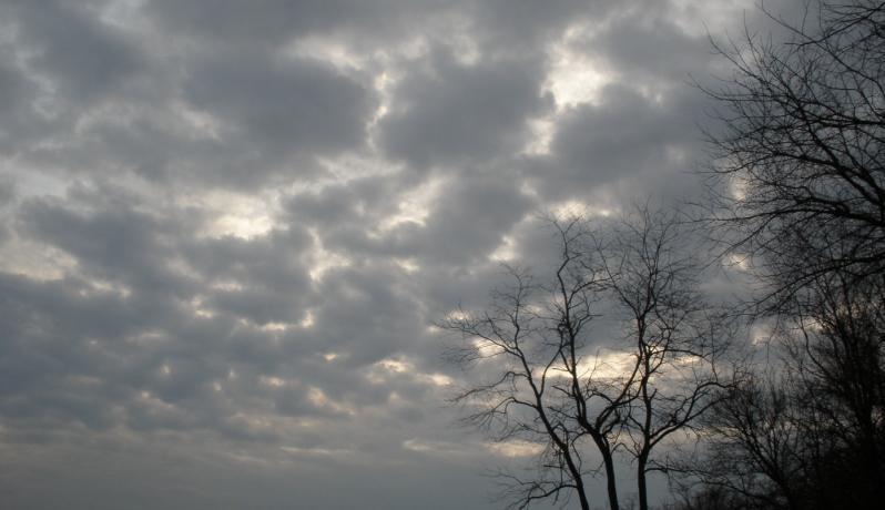 الطقس: الحرارة دون معدلها بدرجتين