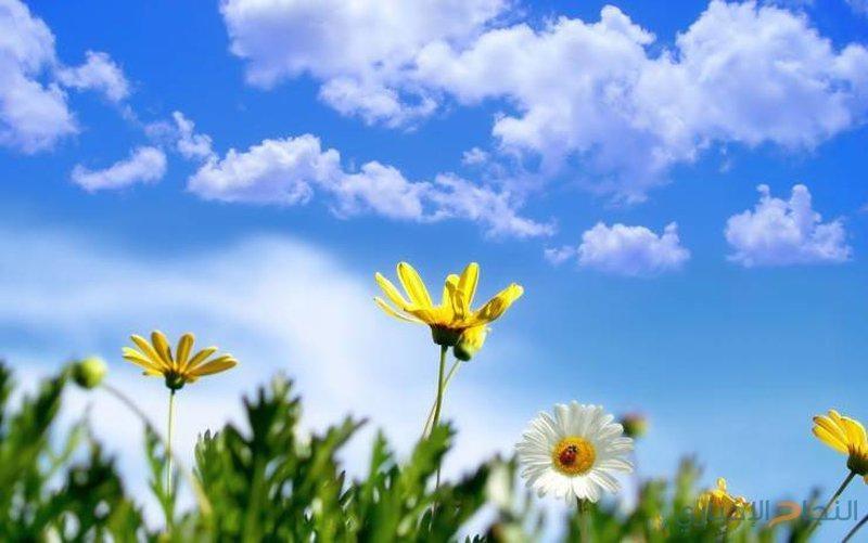 حالة الطقس المتوقعة حتى السبت القادم 