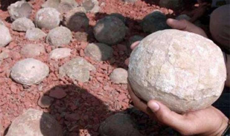 في هذه الدولة.. علماء يعثرون على عش للديناصورات بداخله 30 بيضة!