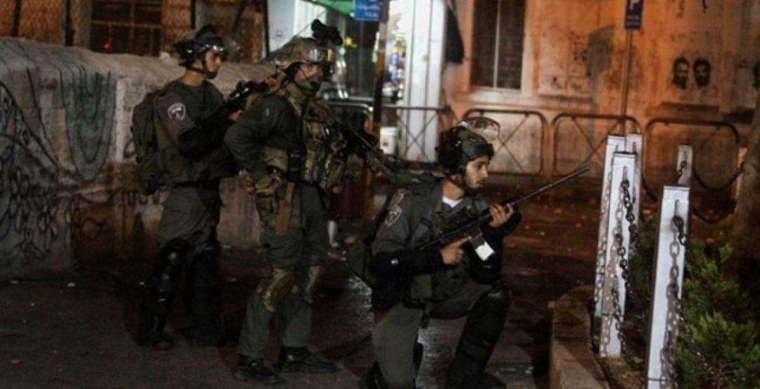 الاحتلال يعتقل 12 مواطنًا بالضفة