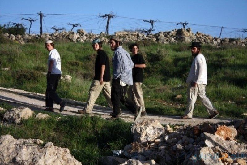مستوطنون يعتدون على مزارعين في بيت أمر شمال الخليل