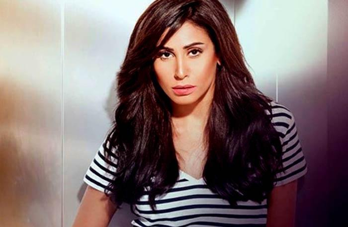 ماذا حدث بين دينا الشربيني وعمرو دياب؟