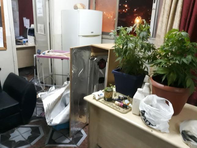القبض على طالب استغل هندسة الإلكترونيات لتطوير زراعة المخدرات