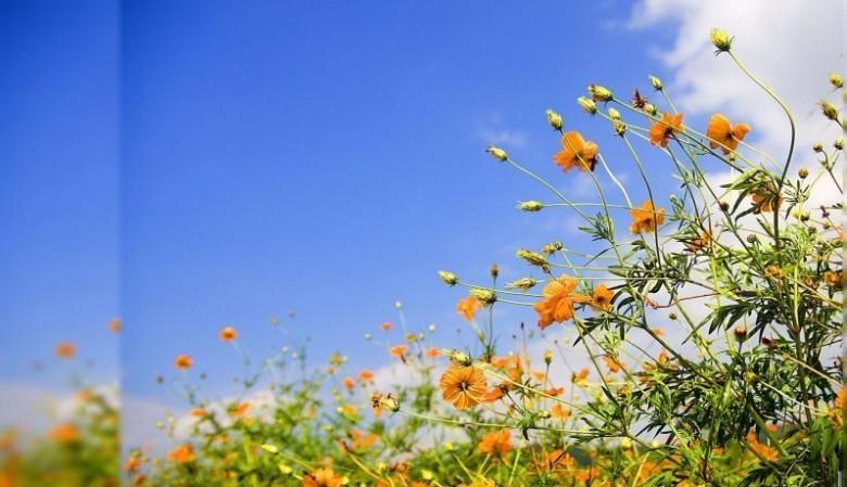 حالة الطقس: اجواء دافئة والحرارة الى ارتفاع