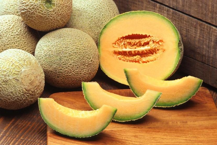 رعب... بكتيريا غريبة وشمام 'قاتل'
