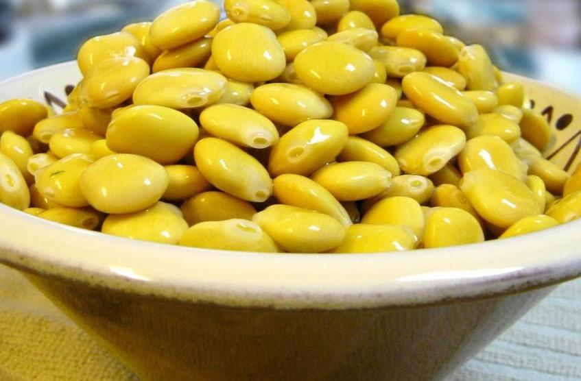 يقي من السرطان ويعالج مشكلة الديدان.. ما لا تعرفونه عن فوائد الترمس