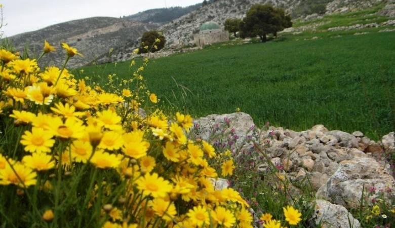 الطقس: أجواء ربيعية لطيفة