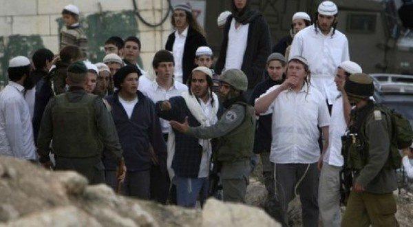  مستوطنون يعتدون على عائلة قفيشة ويستولون على خزانات مياه في الخليل 