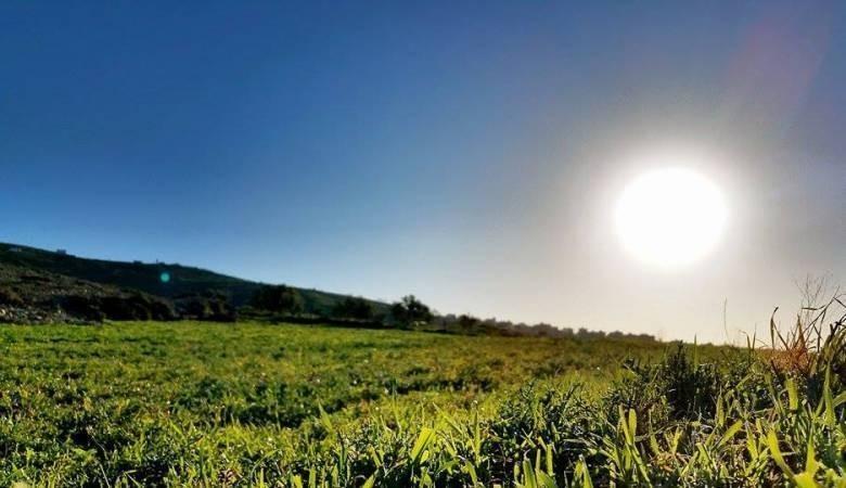 حالة الطقس: توالي انخفاض درجات الحرارة مع بقائها أعلى من معدلها بقليل