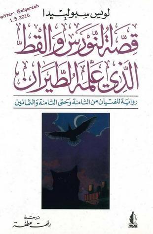 قصة النورس والقط الذي علمه الطيران