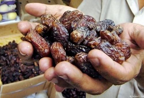 اتلاف تمور غير صالحة للاستهلاك الآدمي في بيت لحم