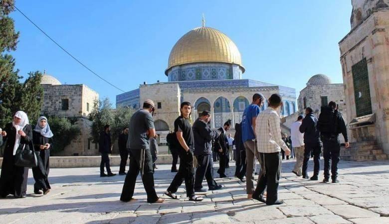 17 مستوطنًا يقتحمون الأقصى بحماية شرطة الاحتلال