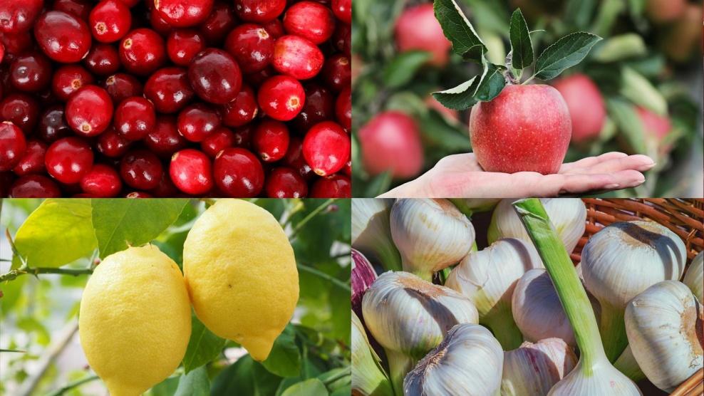 أفضل 11 طعاما لجهازك المناعي