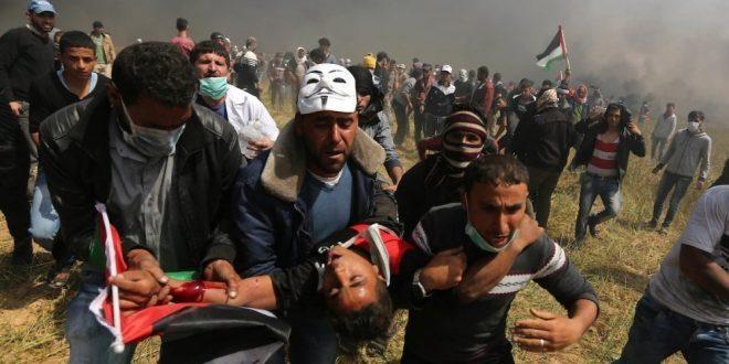 137 شهيداً برصاص الاحتلال منذ بدء مسيرة العودة