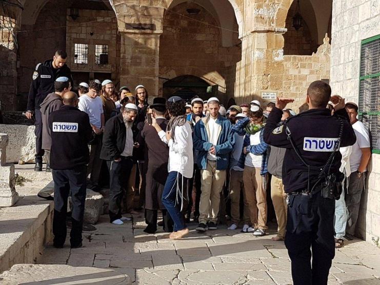مستوطنون يواصلون اقتحام الأقصى بحراسة مشددة