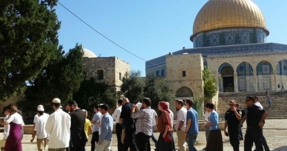 116 مستوطناً اقتحموا الأقصى