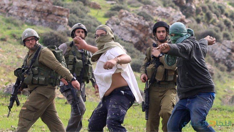 مستوطنون يهاجمون تجمع المعرجات شمال شرق رام الله 