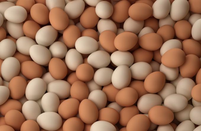 الصحة الاسرائيلية: 30٪ من البيض مصاب ببكتيريا السالمونيلا