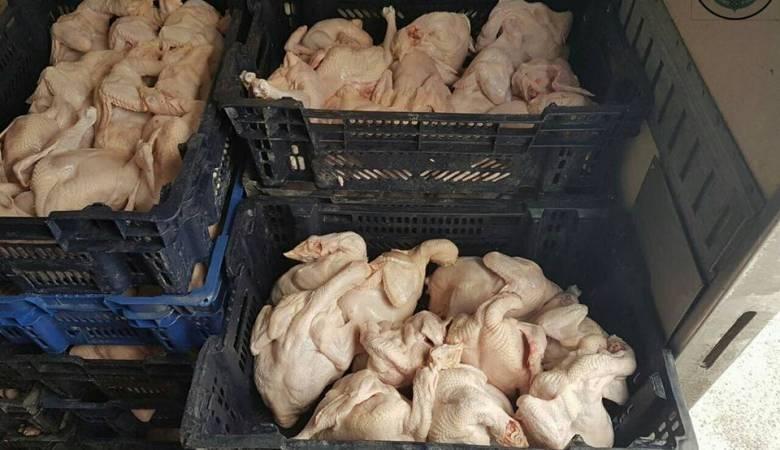 ضبط 11 طن ونصف دجاج فاسد بالرام