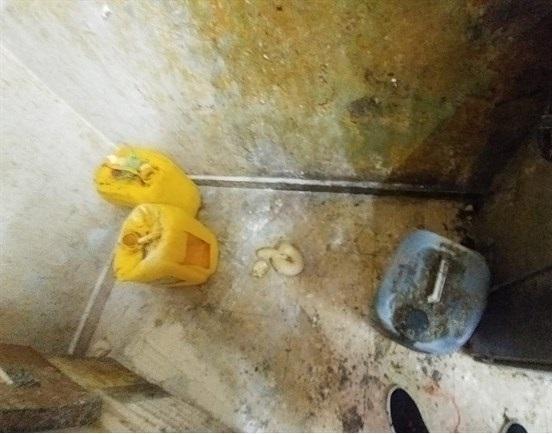 الضابطة والصحة يوقفان مخبزاً عن العمل في قرية بدو