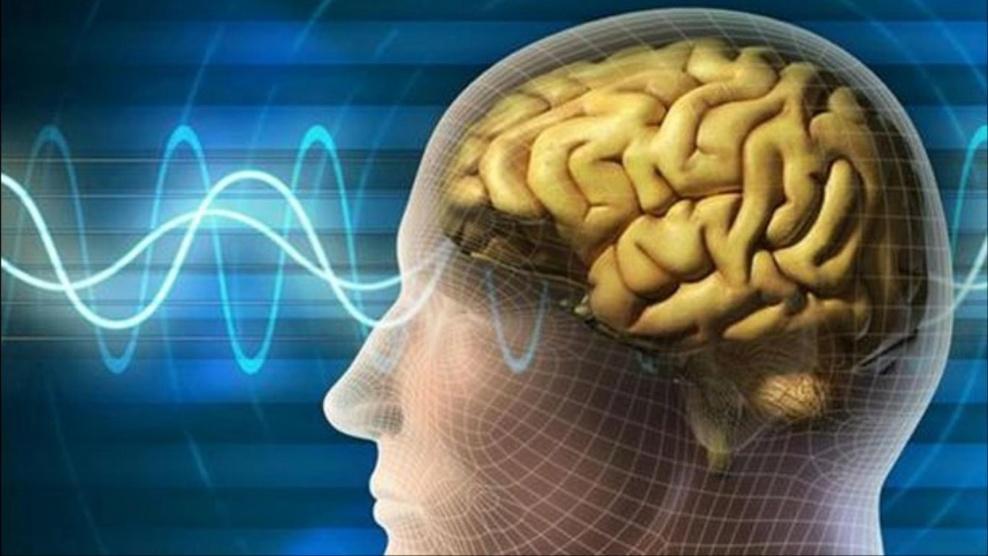 خلية فريدة بالمخ تميز الإنسان عن باقي الكائنات