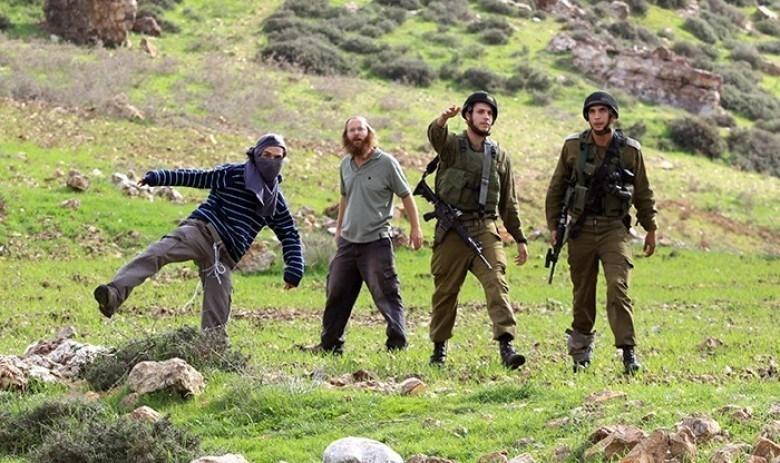 مستوطنون يهاجمون مركبة فلسطينية بالحجارة شرق قلقيلية