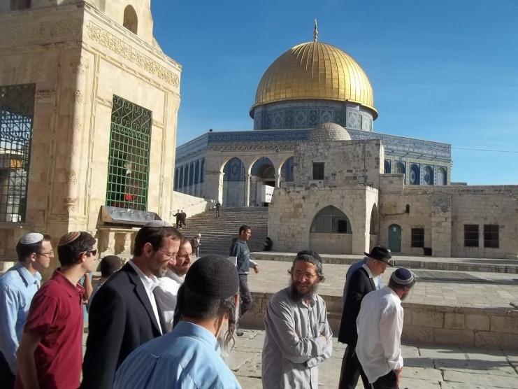 69 مستوطنًا يقتحمون الأقصى وسط جولات استفزازية