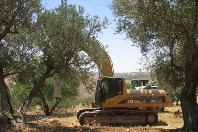 الاحتلال يجدد أعمال التجريف لشق طريق استيطاني جنوب بيت لحم