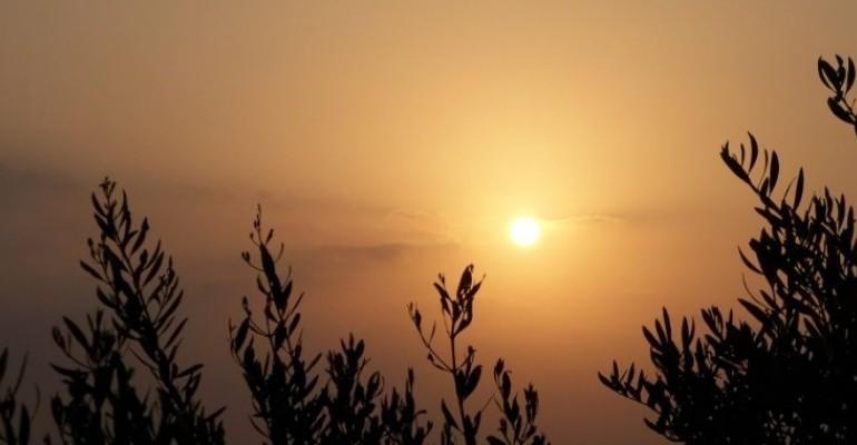 الطقس: ارتفاع طفيف على درجات الحرارة