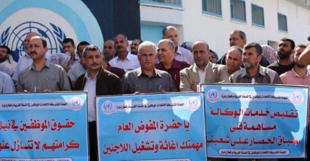 إضراب شامل بجميع مرافق الوكالة الثلاثاء والأربعاء