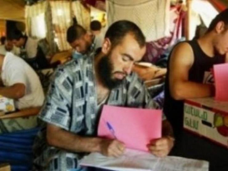 التربية