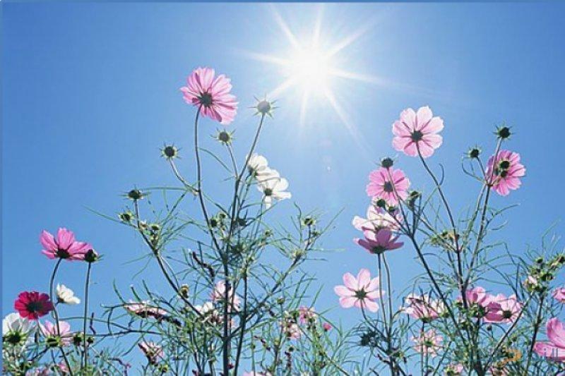 حالة الطقس: ارتفاع طفيف على درجات الحرارة