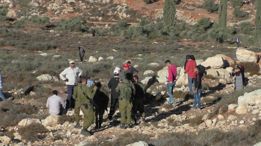 مستوطنون يهاجمون قاطفي الزيتون في الخليل 