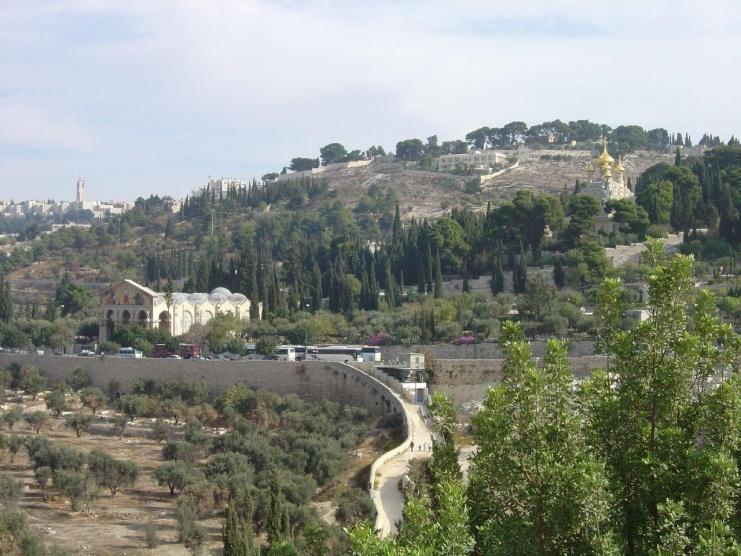الاحتلال يصادر قطعة ارض بالقدس يملك عرفات 135 مترا منها