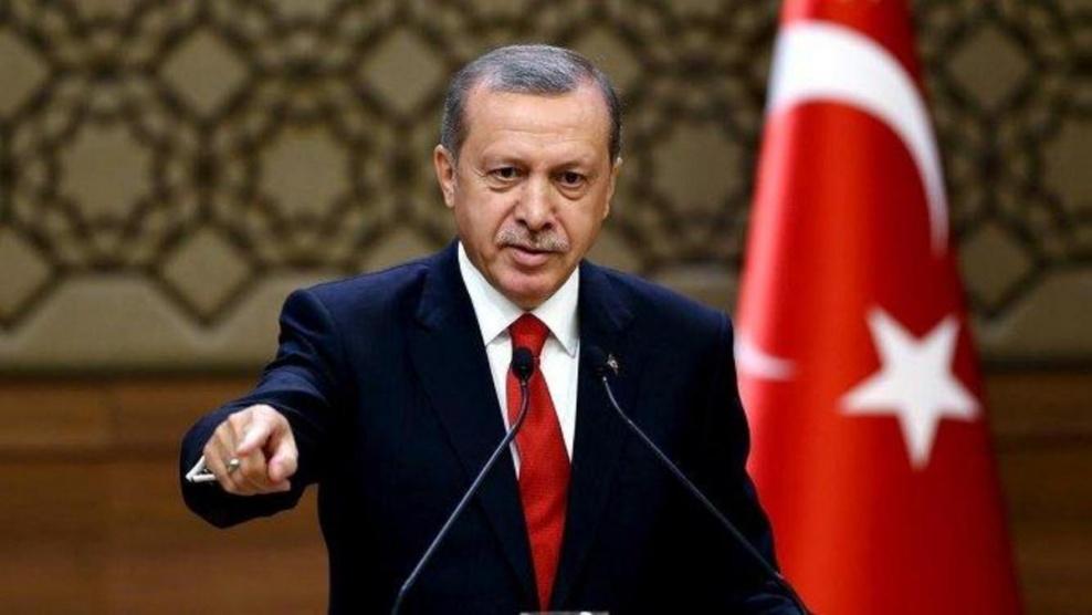 أردوغان: عدة دول تنتظر فرصة لركلنا