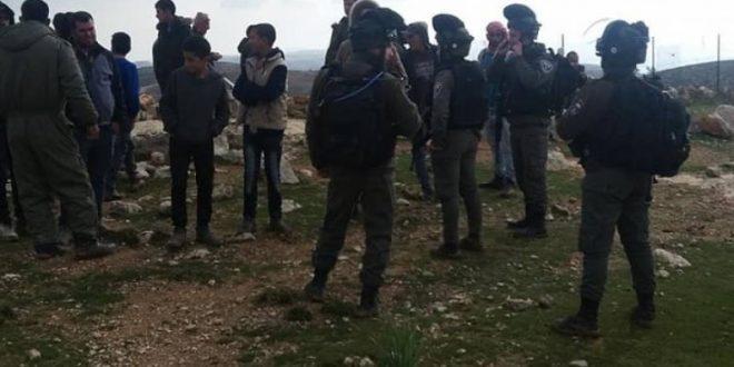 مواطنون يتصدون لاعتداءات المستوطنين على أراض زراعية شرق بيت لحم