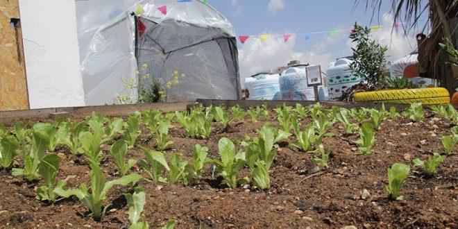 مركز لاجئ يفتتح معرض بيئي على سطح المركز ليكون نموذجا لاهالي المخيم لاقامة حدائقهم على اسطح منازلهم