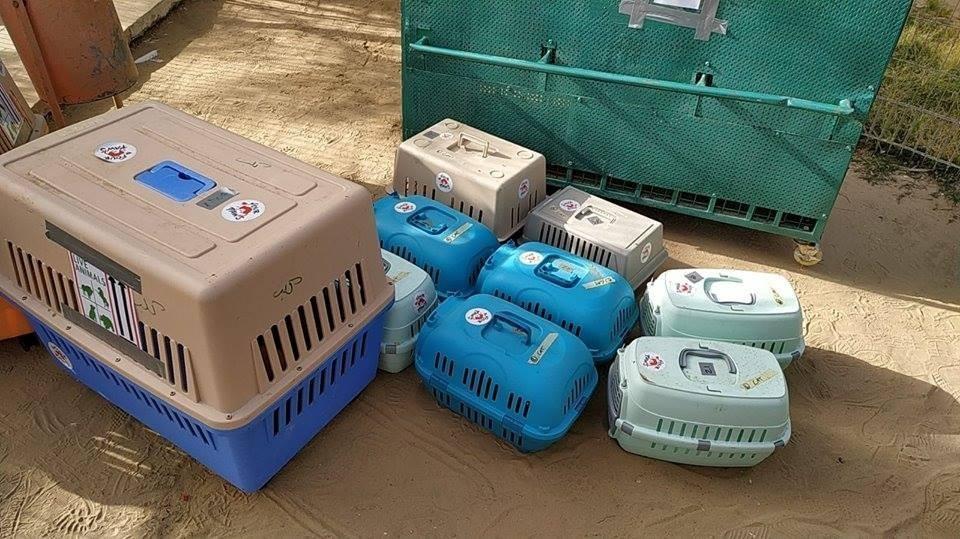 نقل نحو 40 حيوانا من حديقة رفح الى الاردن