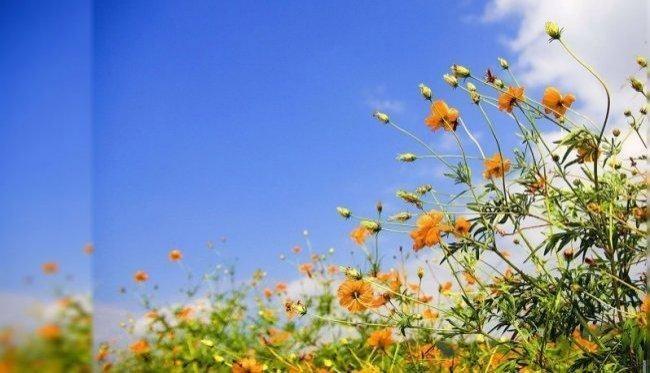 الطقس: ارتفاع ملموس على درجات الحرارة